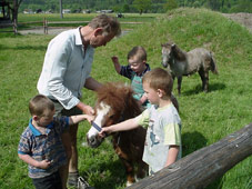 Pony1.jpg (17976 Byte)