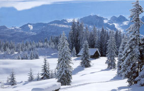 winter1.jpg (17432 Byte)