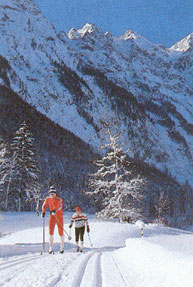 winter2.jpg (23130 Byte)